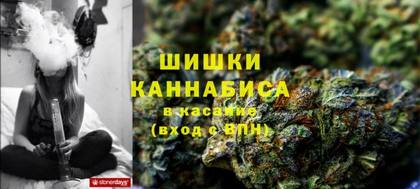молекула духа Лихославль