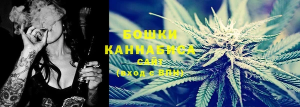 PSILOCYBIN Данков