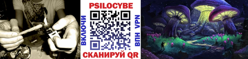 что такое   Луховицы  Псилоцибиновые грибы GOLDEN TEACHER 